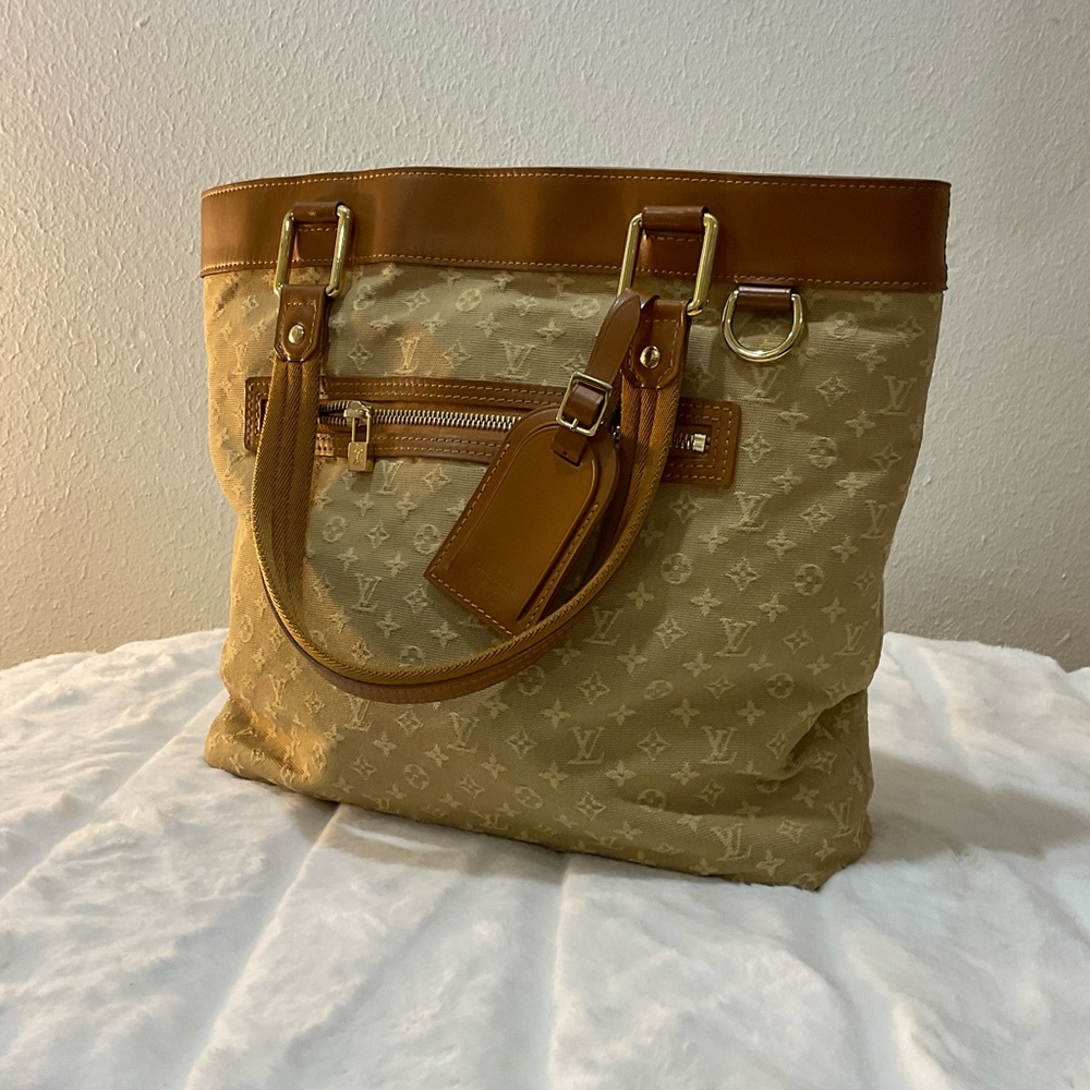 Louis Vuitton Lucile Mini Linn bag ❣️